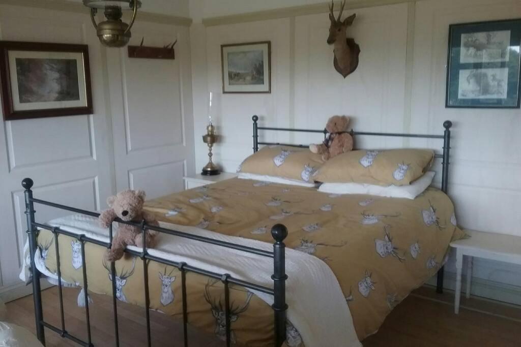 Stags View,Unique Eco Cabin, Dartmoor Views South Brent Екстериор снимка