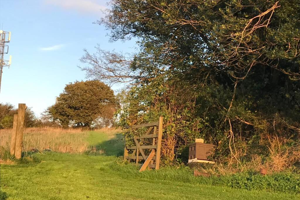 Stags View,Unique Eco Cabin, Dartmoor Views South Brent Екстериор снимка