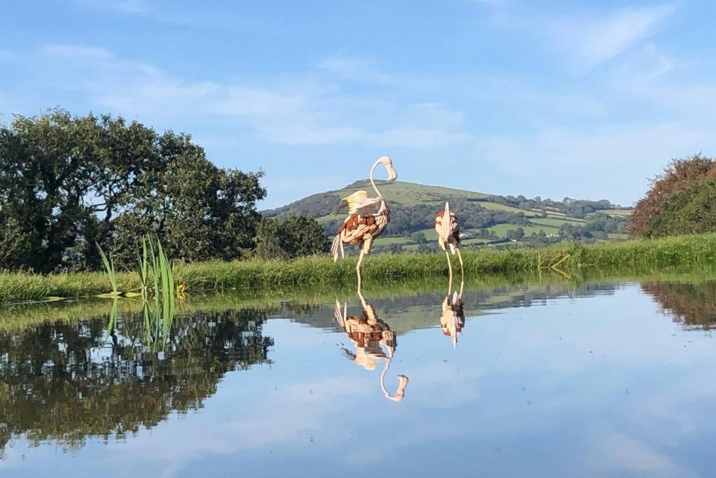 Stags View,Unique Eco Cabin, Dartmoor Views South Brent Екстериор снимка